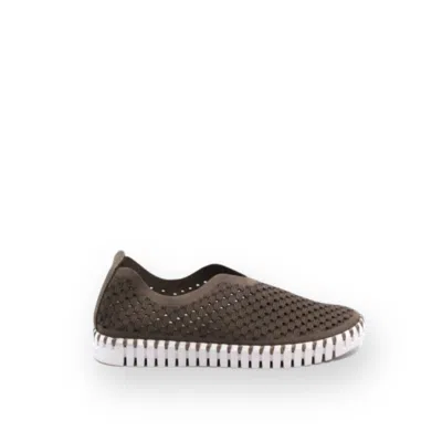Ilse Jacobsen Women's Flats Falcon Shoe In Brown