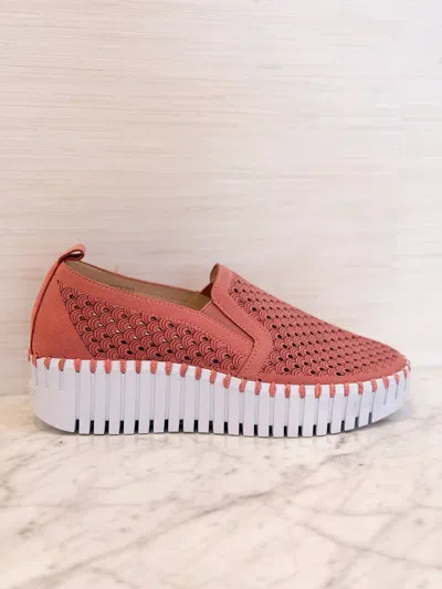 Ilse Jacobsen Women's Platform Tulip Flat Sneakers In Rouge In Multi