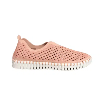 Ilse Jacobsen Women's Tulip 139 Flat Shoes In Adobe Rose In Pink