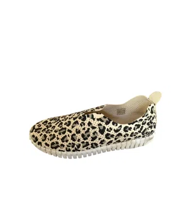 Ilse Jacobsen Women's Tulip 139 Leopard Print Slip On Shoes In Milk Cream In Multi