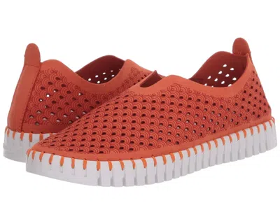 ILSE JACOBSEN WOMEN'S TULIP 139 SHOE IN CAMELIA