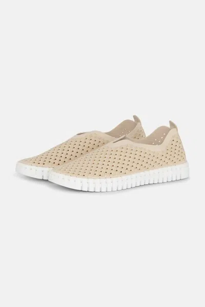 Ilse Jacobsen Women's Tulip 139 Shoe In Kit In Neutral