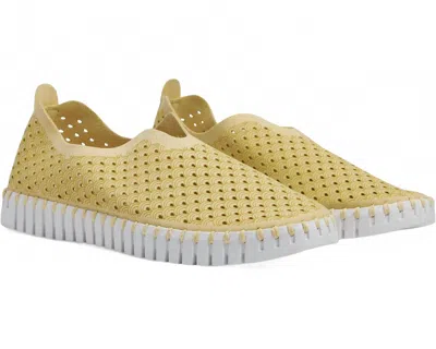 Ilse Jacobsen Women Tulip 139 Shoes In Double Cream In Multi