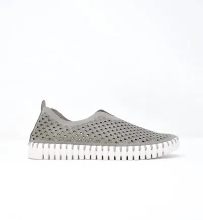 ILSE JACOBSEN WOMEN'S TULIP 139 SHOES IN GREY