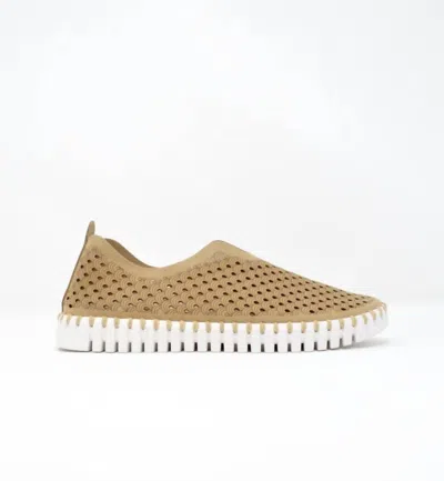 ILSE JACOBSEN WOMEN'S TULIP 139 SHOES IN LATTE