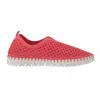 Ilse Jacobsen Tulip 139 Perforated Slip-on Sneaker In Multi