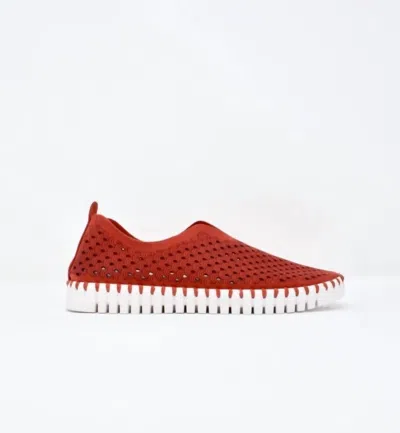 Ilse Jacobsen Women's Tulip 139 Shoes In Red