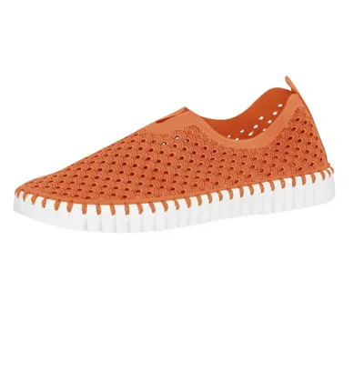 Ilse Jacobsen Women's Tulip 139 Slip-on Shoes In Cameilia