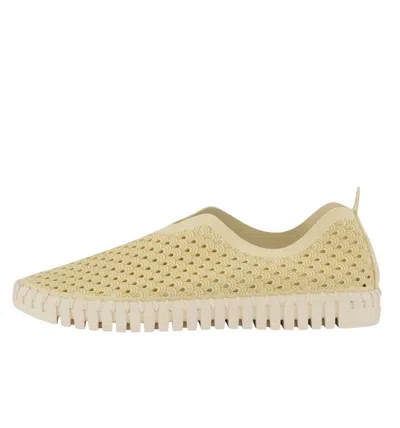 Ilse Jacobsen Women's Tulip 139 Slip On Sneaker In Double Cream