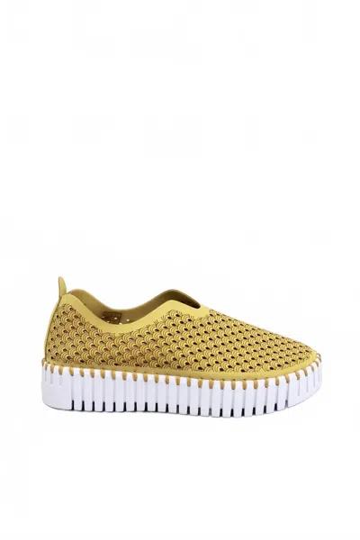 Ilse Jacobsen Women's Tulip 3373 Platform Sneaker In Citronella