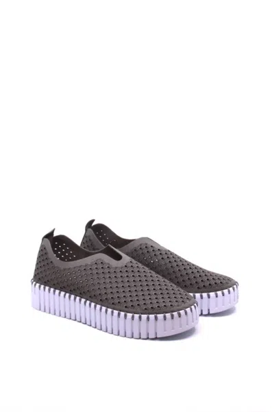 Ilse Jacobsen Women's Tulip 3373 Shoe In Grey In Gray