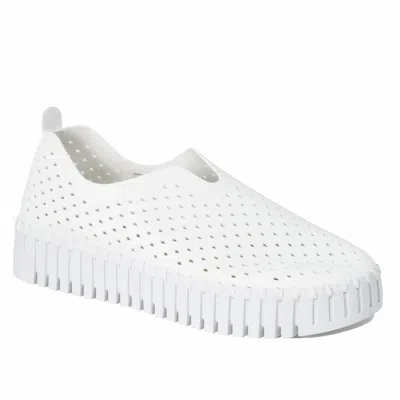 Ilse Jacobsen Women's Tulip 3373 Shoes In White