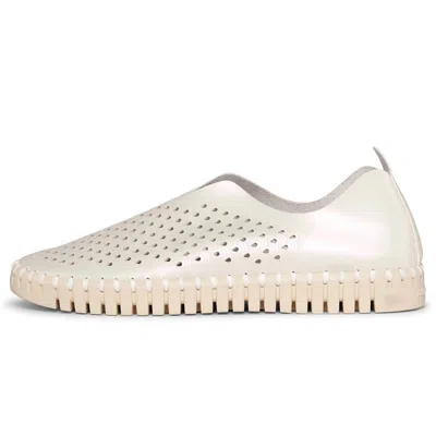 Ilse Jacobsen Women's Tulip 3576n Flat In Whitecap