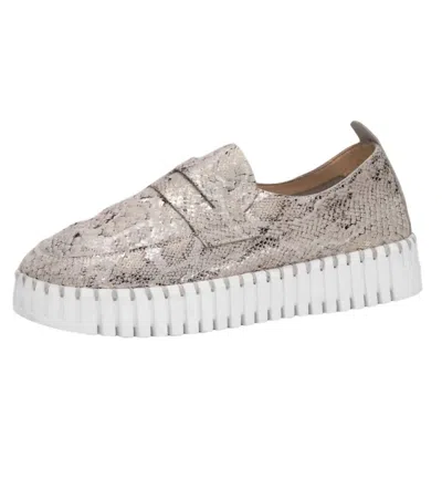 Ilse Jacobsen Women's Tulip 3868 Platform Shoes In Wheat In Gray