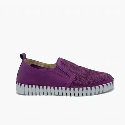 Ilse Jacobsen Women Tulip 3877 Slip On Shoe In Jam In Multi