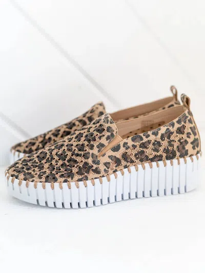 Ilse Jacobsen Women's Tulip 4033 Slip-on Shoes In Latte Leopard In Brown