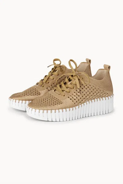 Ilse Jacobsen Women's Tulip 4271 Crochet Wedge Sneaker In Latte / White In Neutral