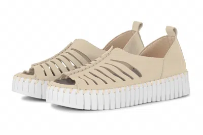 Ilse Jacobsen Women's Tulip 9376 Peep Toe Sneaker In Kit In Multi