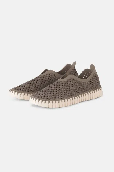 Ilse Jacobsen Women's Tulip Flats In Falcon In Brown