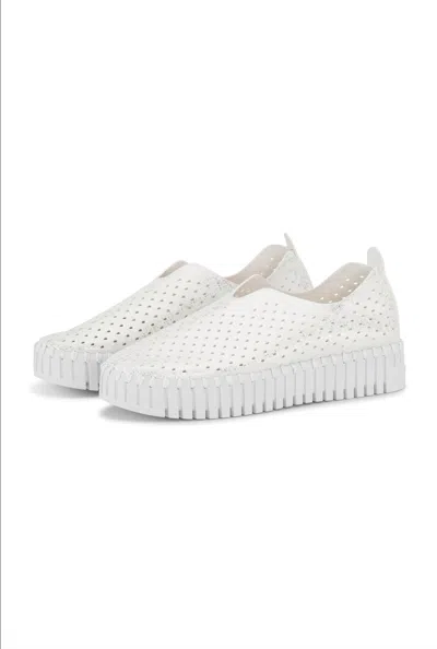 Ilse Jacobsen Women's Tulip Flats In White