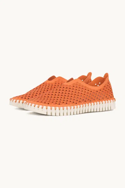 Ilse Jacobsen Women's Tulip Flats Shoes In Camelia In Orange