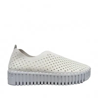 Ilse Jacobsen Women's Tulip Platform Shoes In White In Gold