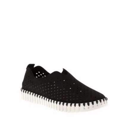 Ilse Jacobsen Women's Tulip Shoe In Black