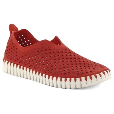 Ilse Jacobsen Women's Tulip Shoe In Deep Red