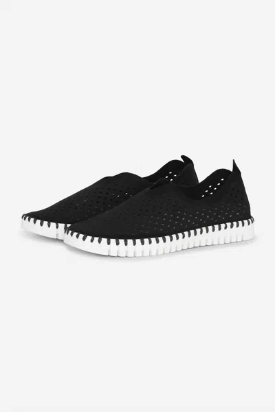 Ilse Jacobsen Women's Tulip Shoes In Black