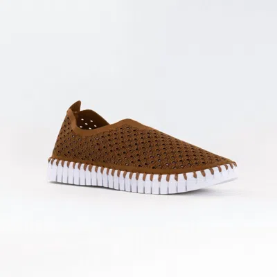 Ilse Jacobsen Women's Tulip 3373 Slip On Sneakers In Nougat