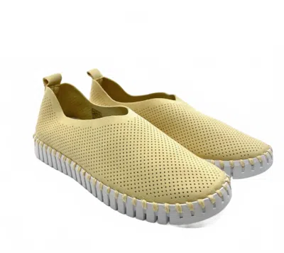 Ilse Jacobsen Women Tulip Shoes In Double Cream