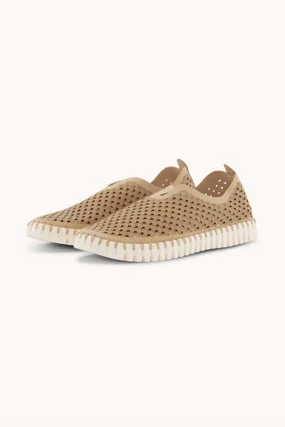 Ilse Jacobsen Women's Tulip Slip On Flats In Latte In Nude