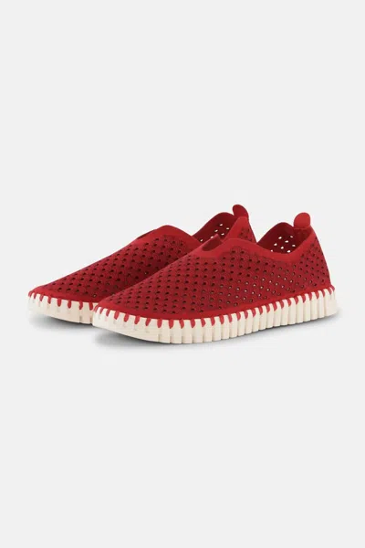 Ilse Jacobsen Women's Tulip Shoe In Red