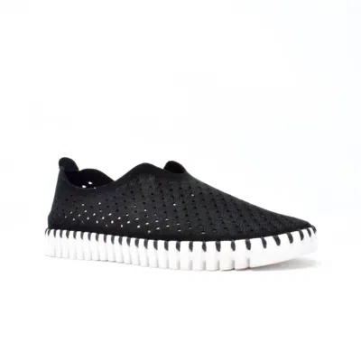 Ilse Jacobsen Women's Tulip Slip On Sneaker In Black