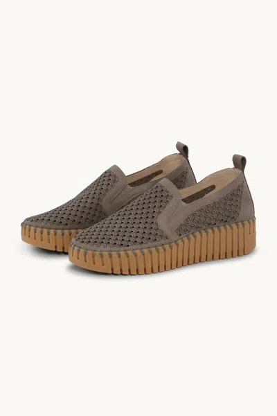Ilse Jacobsen Women's Tulip Slip-on Shoes In Wheat/mocca In Brown