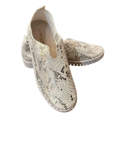 Ilse Jacobsen Women's Tulip Snake Slip On In White Metallic In Multi