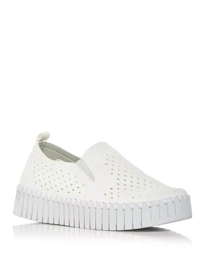 Ilse Jacobsen Women's Tulip Sneaker In White Leather