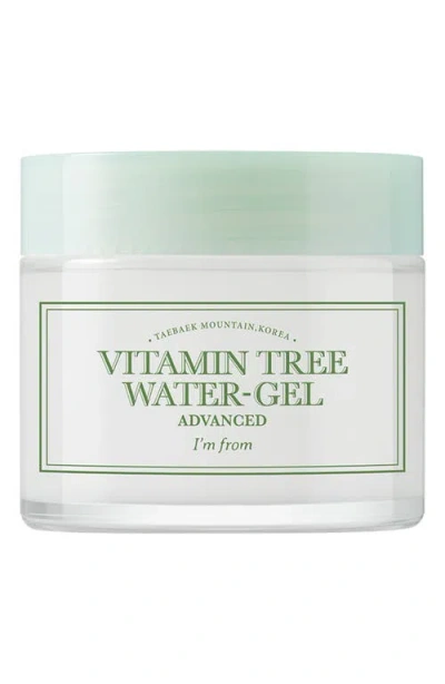 I'm From Vitamin Tree Water-gel Advanced Gel Moisturizer In Transparent