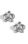 Imber Orchid Flower Statement Stud Earrings In White
