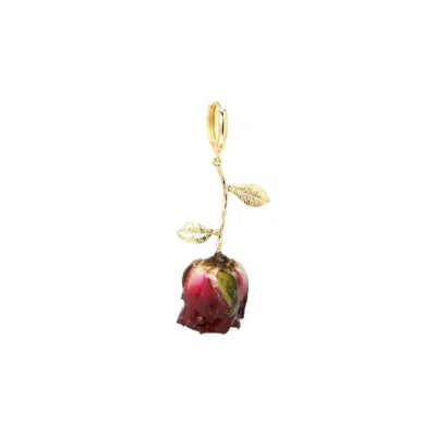 I'mmany London Women's Red Real Flower Grande Amore Rosebud Drop Single Earring With Huggie Hoop