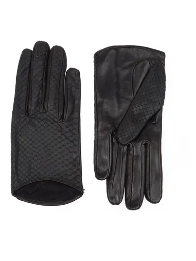 Imoni Snakeskin Gloves In Black