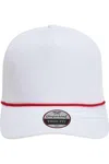 Imperial The Wrightson Cap In Metallic