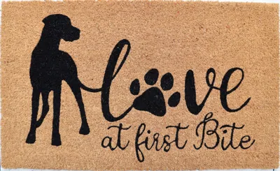 Imports Decor Love At First Bite Dog Coir Door Mat, Funny Pet Lover Coconut Fiber Doormat With Non-slip Pvc Backin