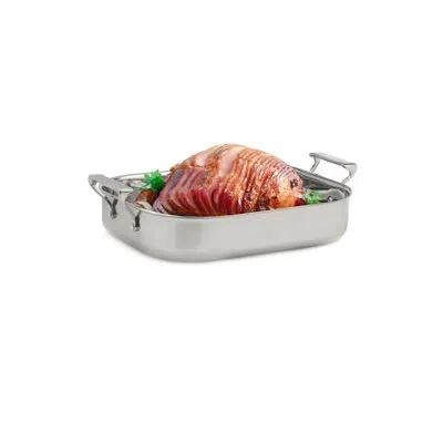 Impulse Terra 14.5" Stainless Steel Roaster In Silver