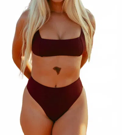 Imsy Taylor Bikini Bottom In Plum In Pink