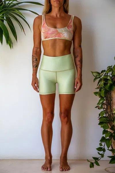 Imsy Tori High Rise Short In Cucumber Palms In Green