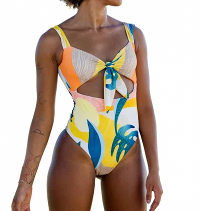 Imsy Wynn One Piece In Cabana In Orange