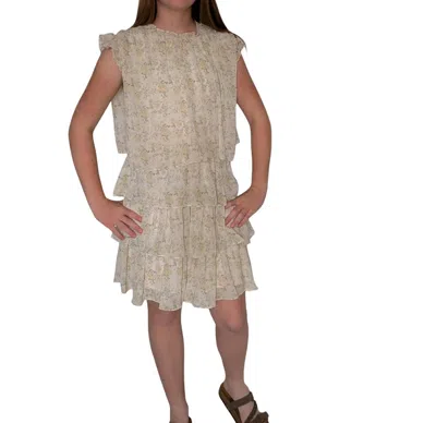 In February Floral Chiffon Dress With Ruffles In Multi