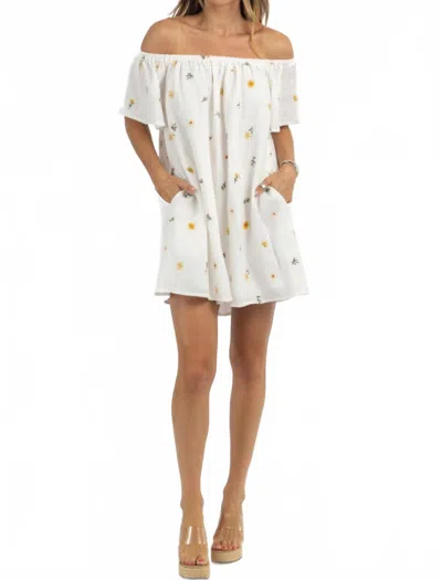 In February May Embroidered Mini Dress In White