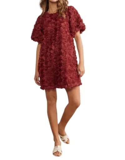 In February Ribbon Mini Dress In Rose In Multi